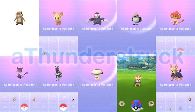 Gen 5 Pokémon slowly releasing into the game, already got some