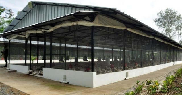 poultry_house.jpg