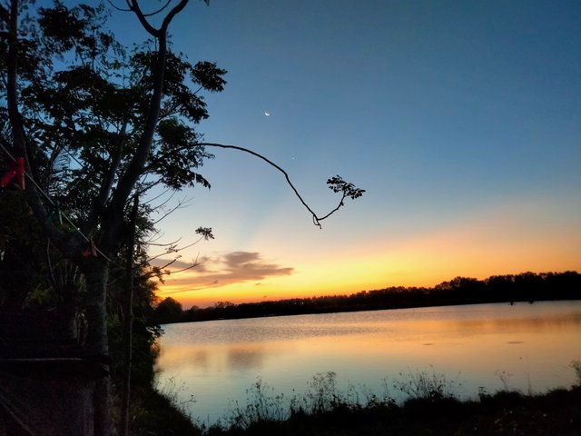 IMG20250302190214.jpg