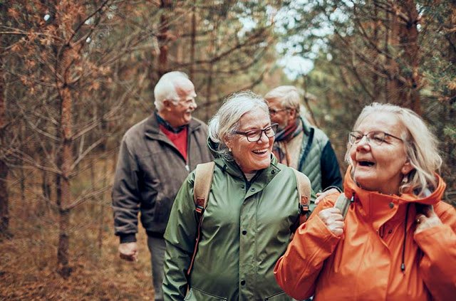 seniors-hiking-forest-hero.jpg