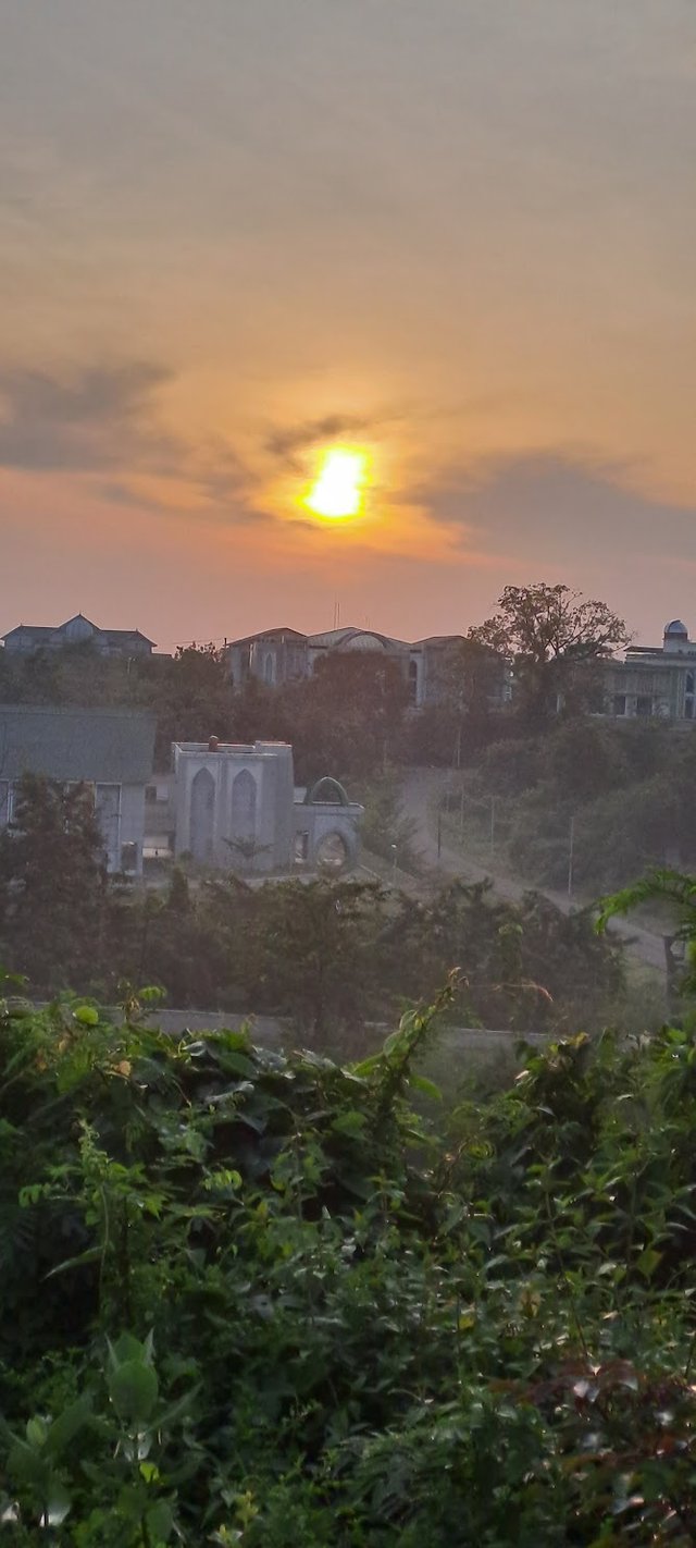 20250614_064145.jpg