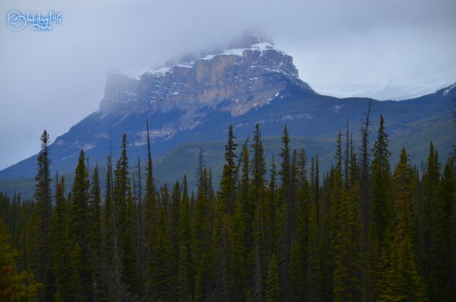 Castle mountain4.jpg