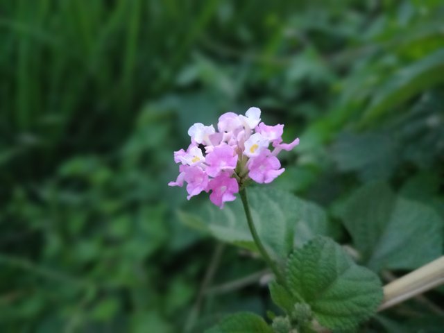 20251001_175802.jpg