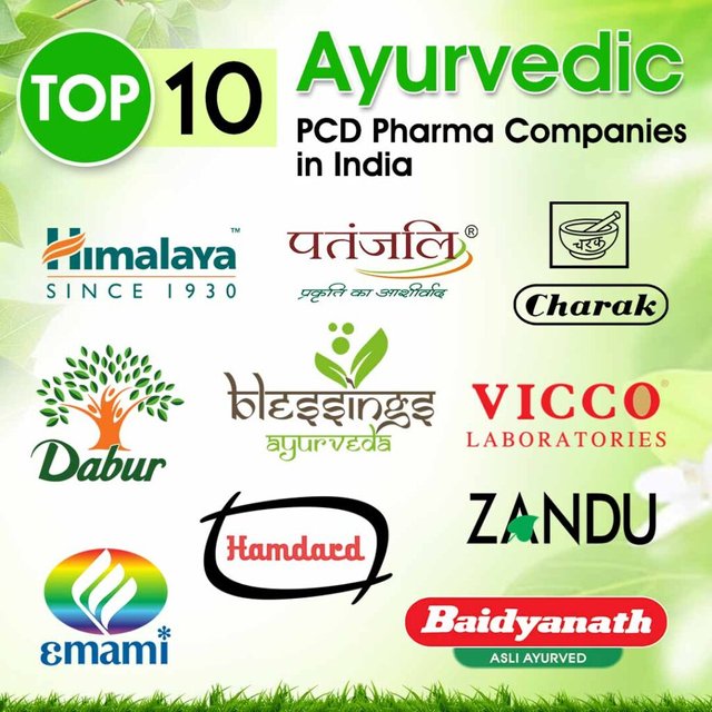 Top-10-Ayurvedic-PCD-Pharma-Companies-in-India.jpg