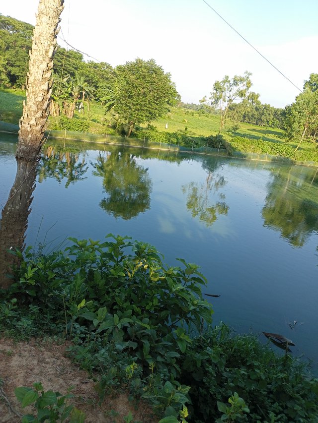IMG20250627172545.jpg