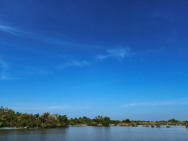 IMG_20250314_093213.jpg