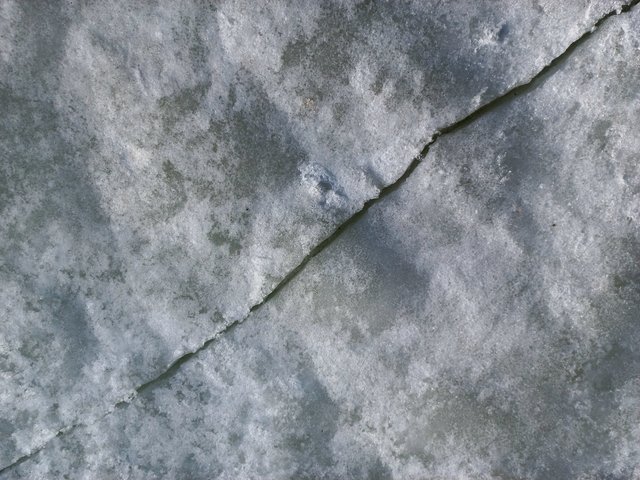 20220306_114458.jpg