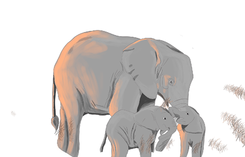 elefante 5.png