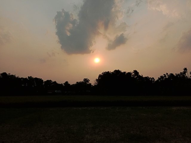 IMG_20250429_203413.jpg
