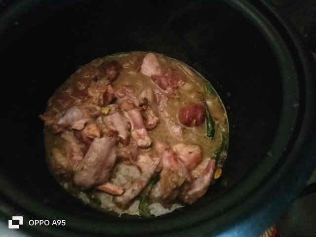 IMG20250309103230.jpg