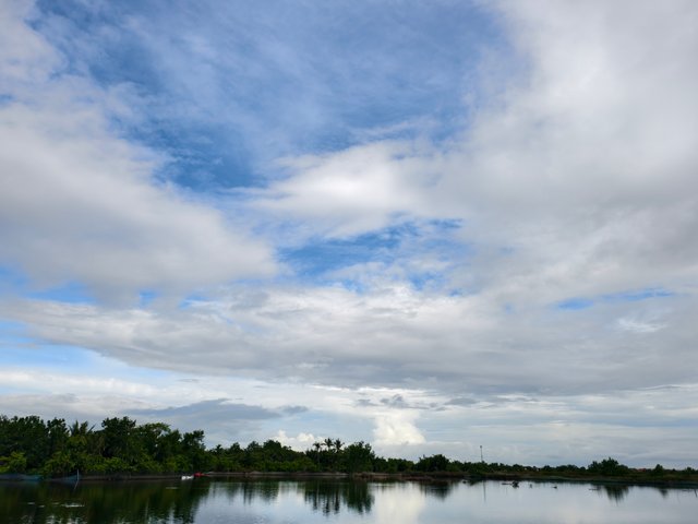 IMG_20250704_151010.jpg