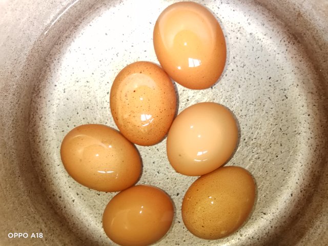 IMG20250915155131.jpg