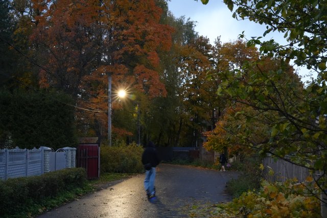 DSC06932.JPG