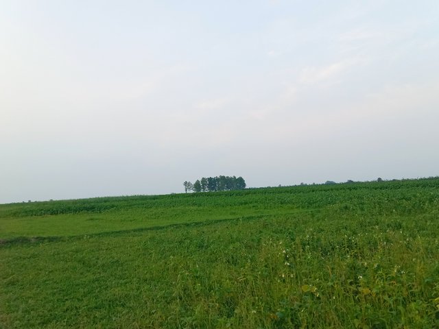 IMG_20250914_070528.jpg