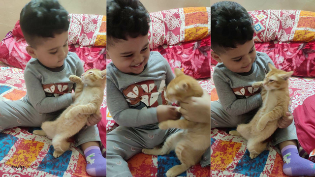 Cute Illustrative Cat Salon and Grooming Presentation (2).png