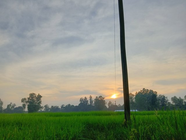 IMG20250909174003.jpg