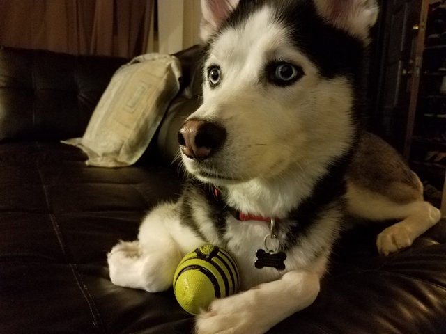 20181023_195913.jpg