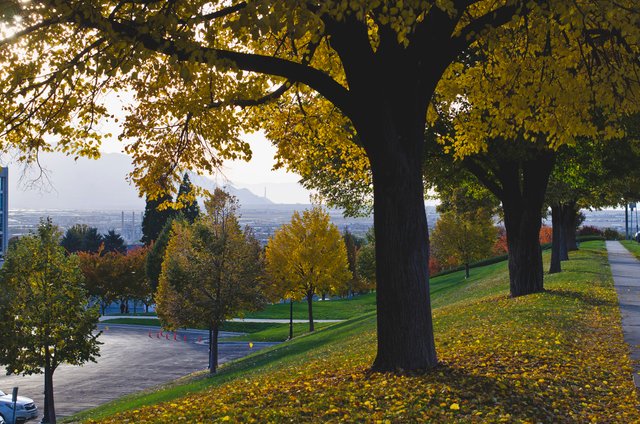 The changing on the top of capitol hill.JPG