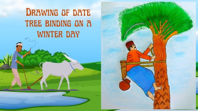 Drawing of date tree binding on a winter day.jpg