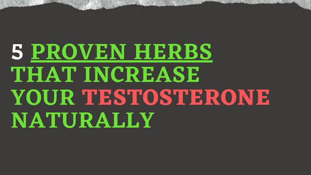 5 Proven Herbs that Increase your Testosterone Naturally.png