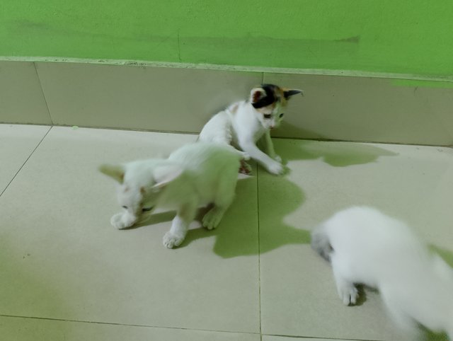 1000013220.jpg