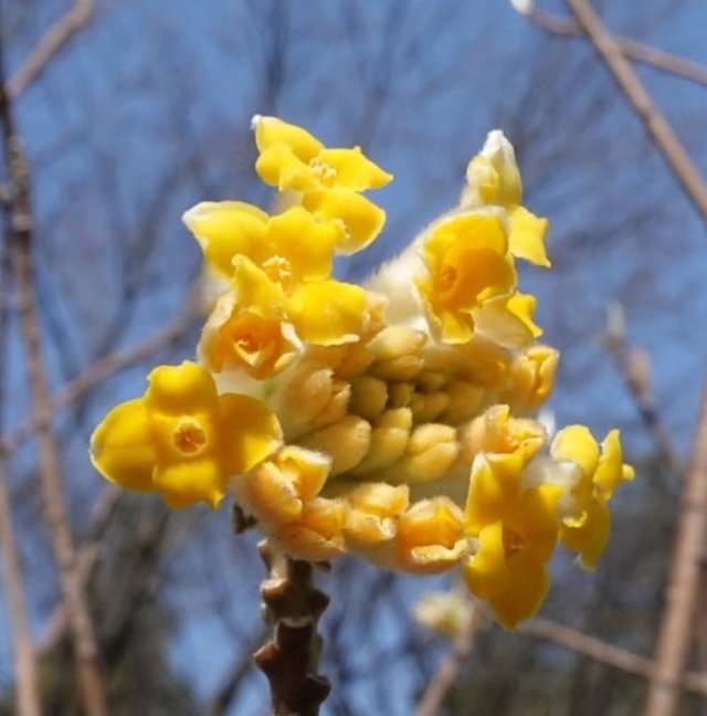 IMG_20250416_083822.jpg