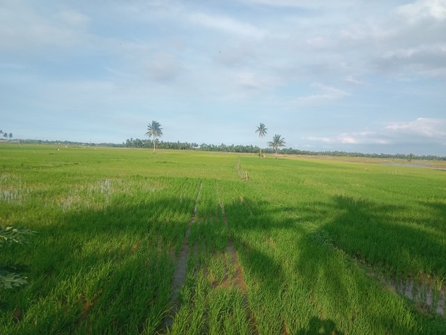 IMG_20250830_165125.jpg