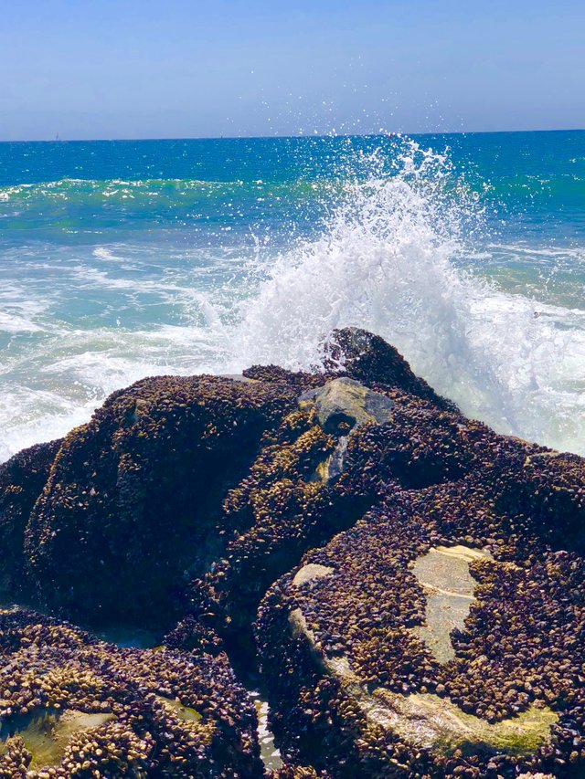 Wave crashing against rock