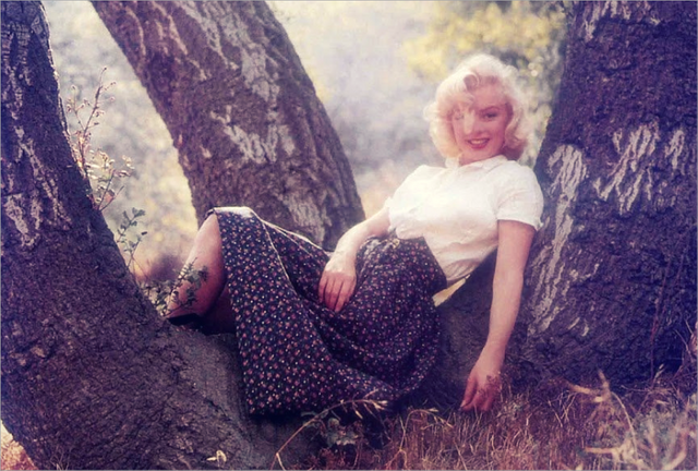 MarilynMonroetree.png