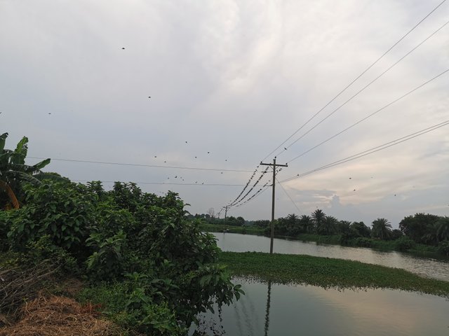 IMG_20240907_173124.jpg