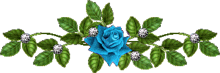 1000039202.png