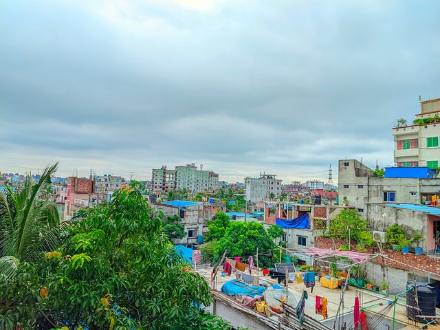 LMC_20250707_093556_ðColor boost By Expert Mistry.jpg