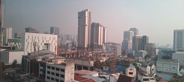 20250429_073400.jpg