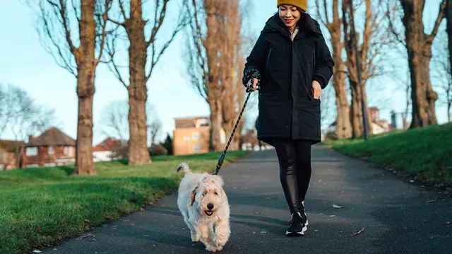 female-walking-dog-in-park-1296-728-header.webp