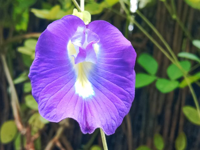 IMG_20250926_192912.jpg