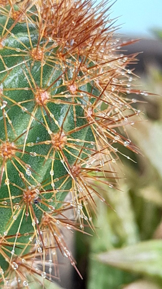 20250730_143135.jpg