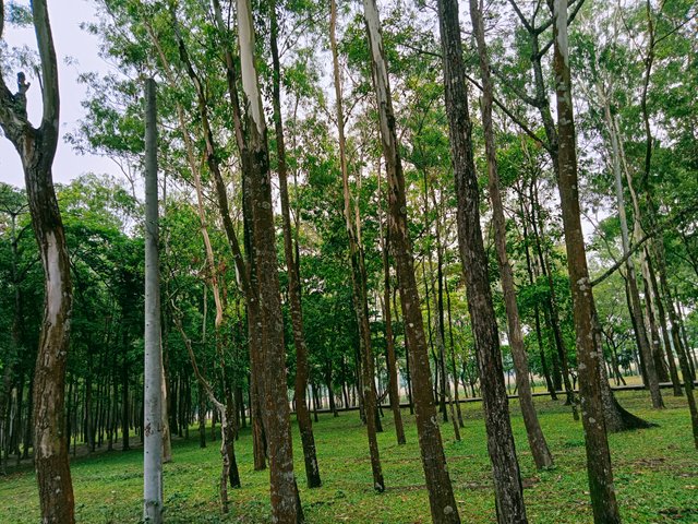 IMG20230613112749_01.jpg