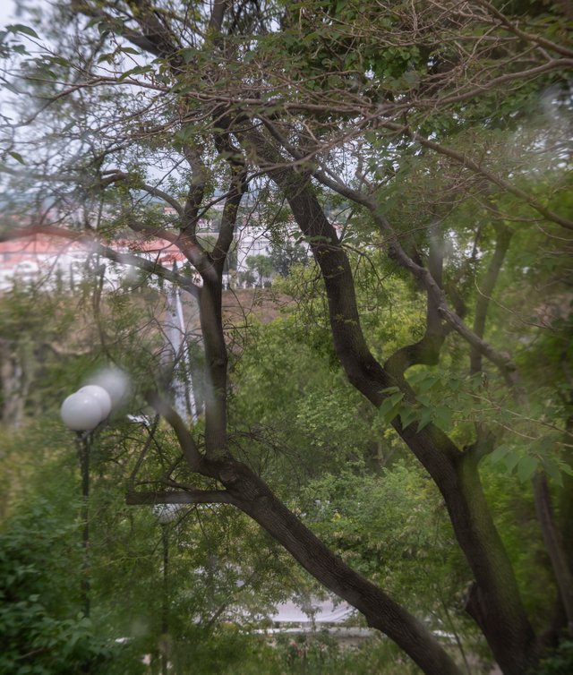 DSC04482-Панорама.jpg