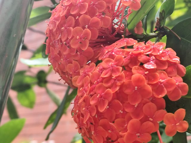IMG_20250521_123841.jpg