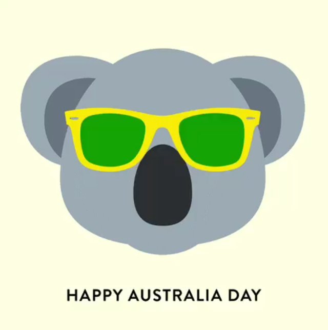 aussie day koala.jpg