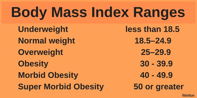 BMI Ranges fitinfun.jpg