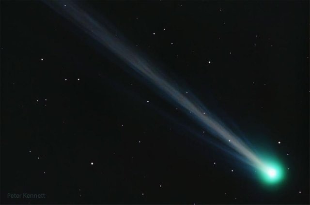 comet_nishimura.jpg