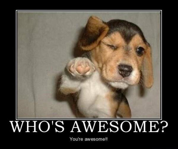 whos-awesome-youre-awesome-quote-2.jpg