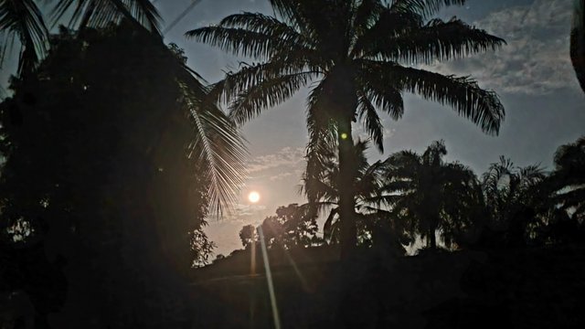 20250710_195409.jpg