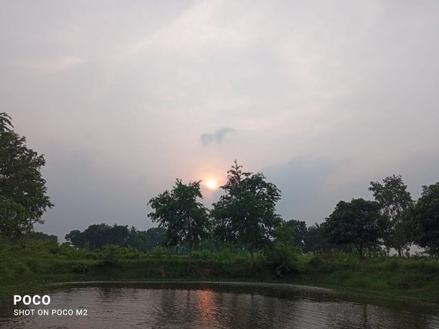IMG-20250604-WA0002.