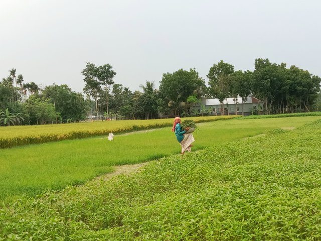 IMG_20250503_180814.jpg