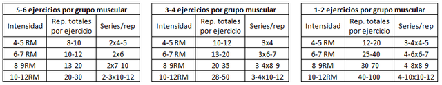 series-repeticiones_por_grupo_muscular.png