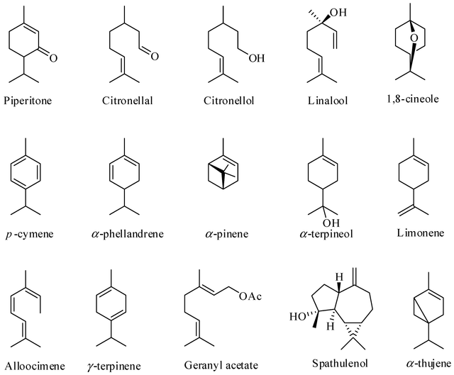 essential oil molecules.png