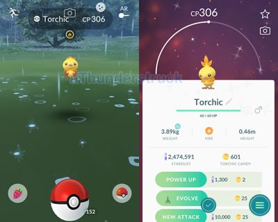 Shiny Torchic.jpg