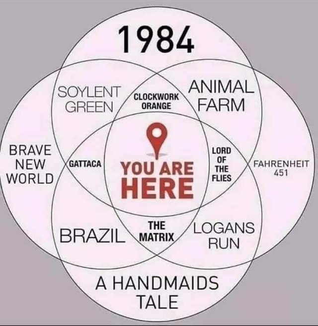 you are here.jpg